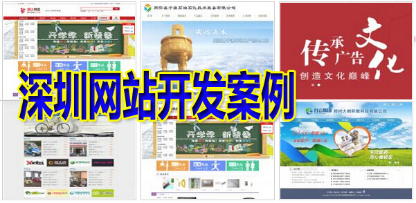 深圳网站开发案例