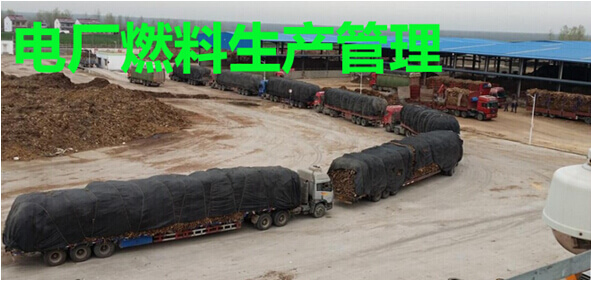 电厂燃料生产管理