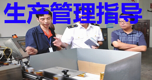 生产管理指导