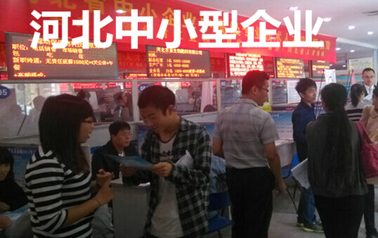 河北中小型企业