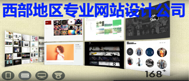 西部地区专业网站设计公司