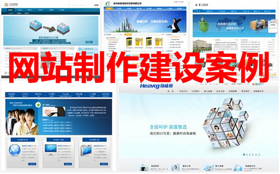 网站制作建设案例