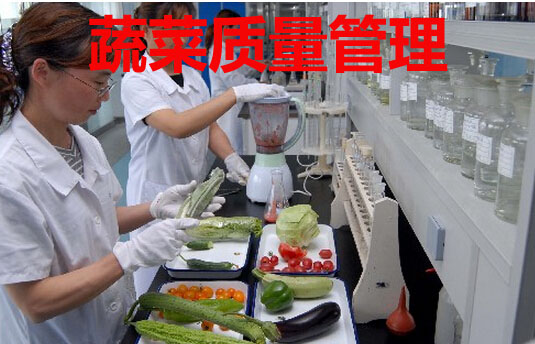 蔬菜质量管理
