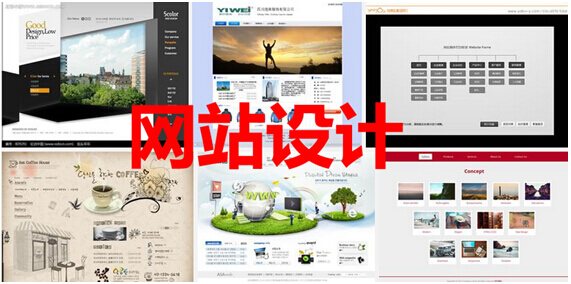 网站设计报告案例