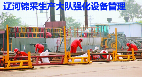 辽河锦采生产大队强化设备管理