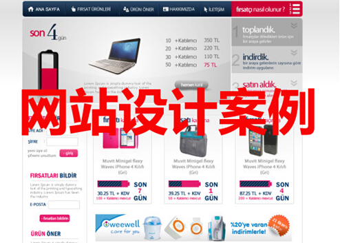 网站设计案例