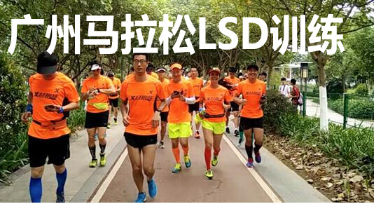 广州马拉松LSD训练