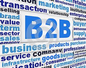 国内B2B电商孕婴童服务平台