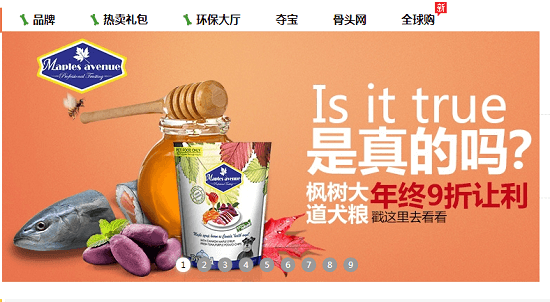 狗民网：宠物电商靠优质C2C模式