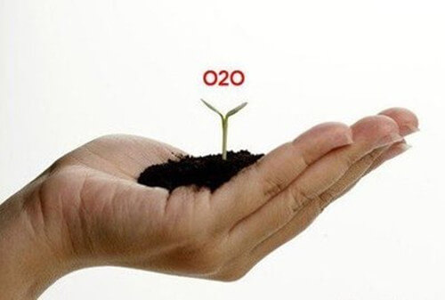 O2O模式网站