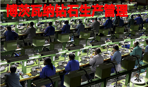 世界钻石生产国启动经济刺激计划