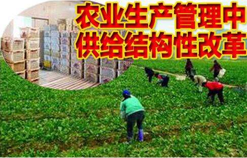 农业生产管理
