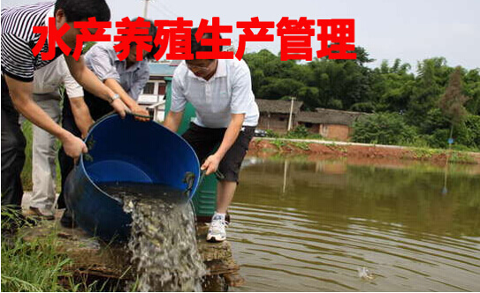 水产养殖生产管理