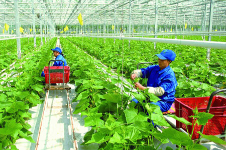 农业B2B电商面临的七大问题
