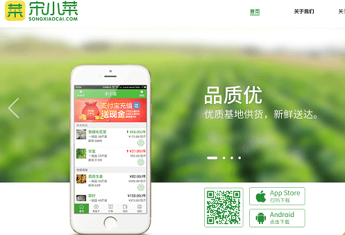 食材B2B平台“宋小菜”带给人们的思考