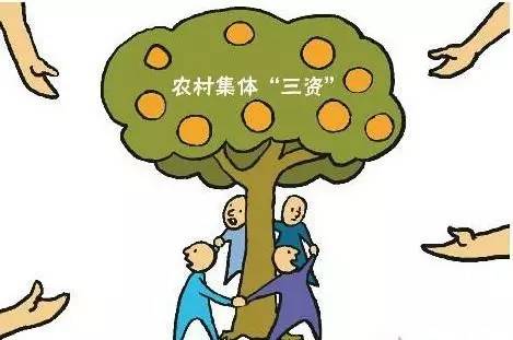 农村集体资产清产核资下半年全面启动