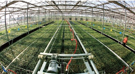 智慧农业的六大要素