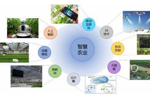 六安市首家生态智慧农业示范基地在裕安建成